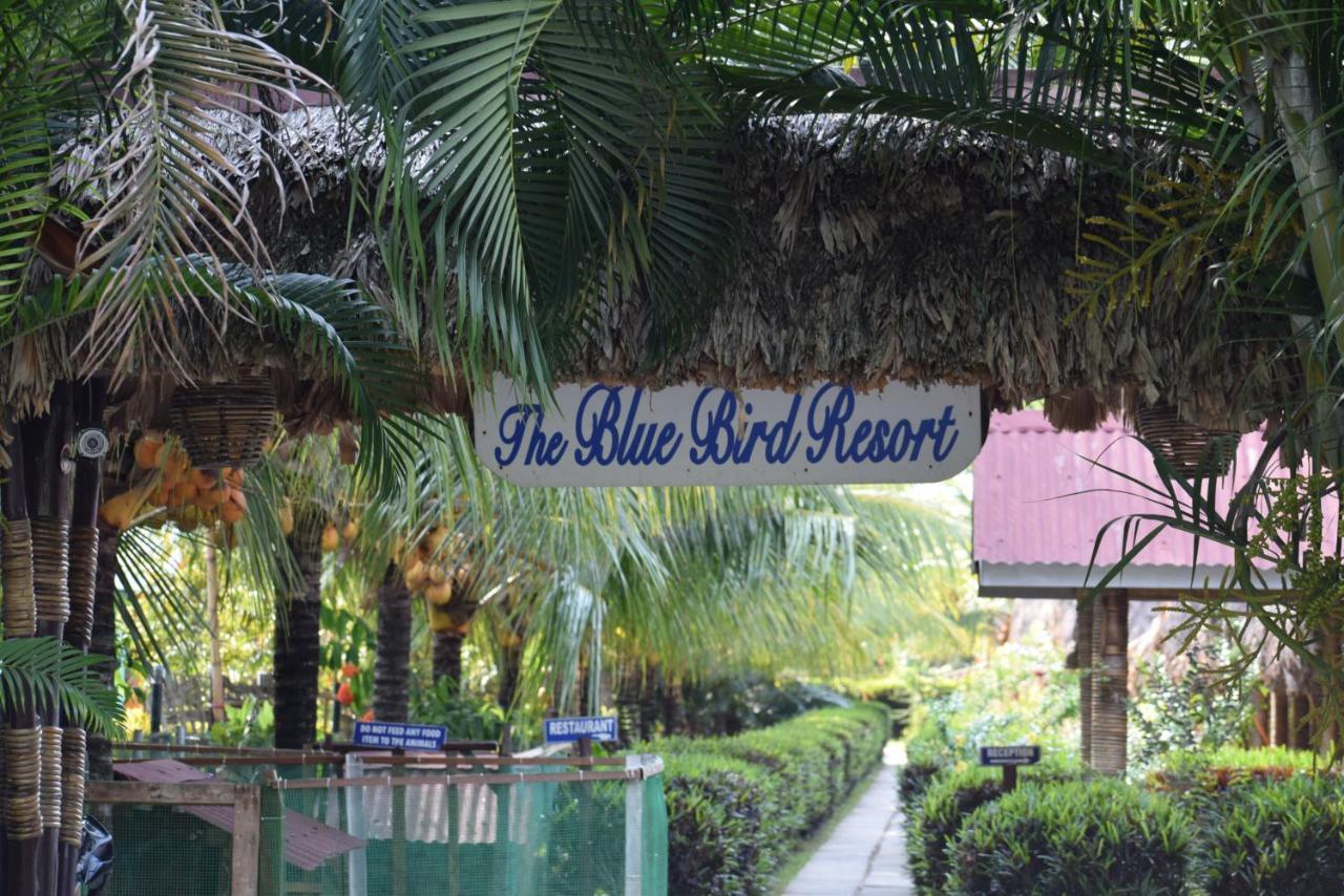 Blue Bird Resort Vijay Nagar Beach Exterior foto