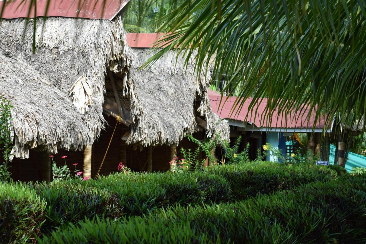 Blue Bird Resort Vijay Nagar Beach Exterior foto